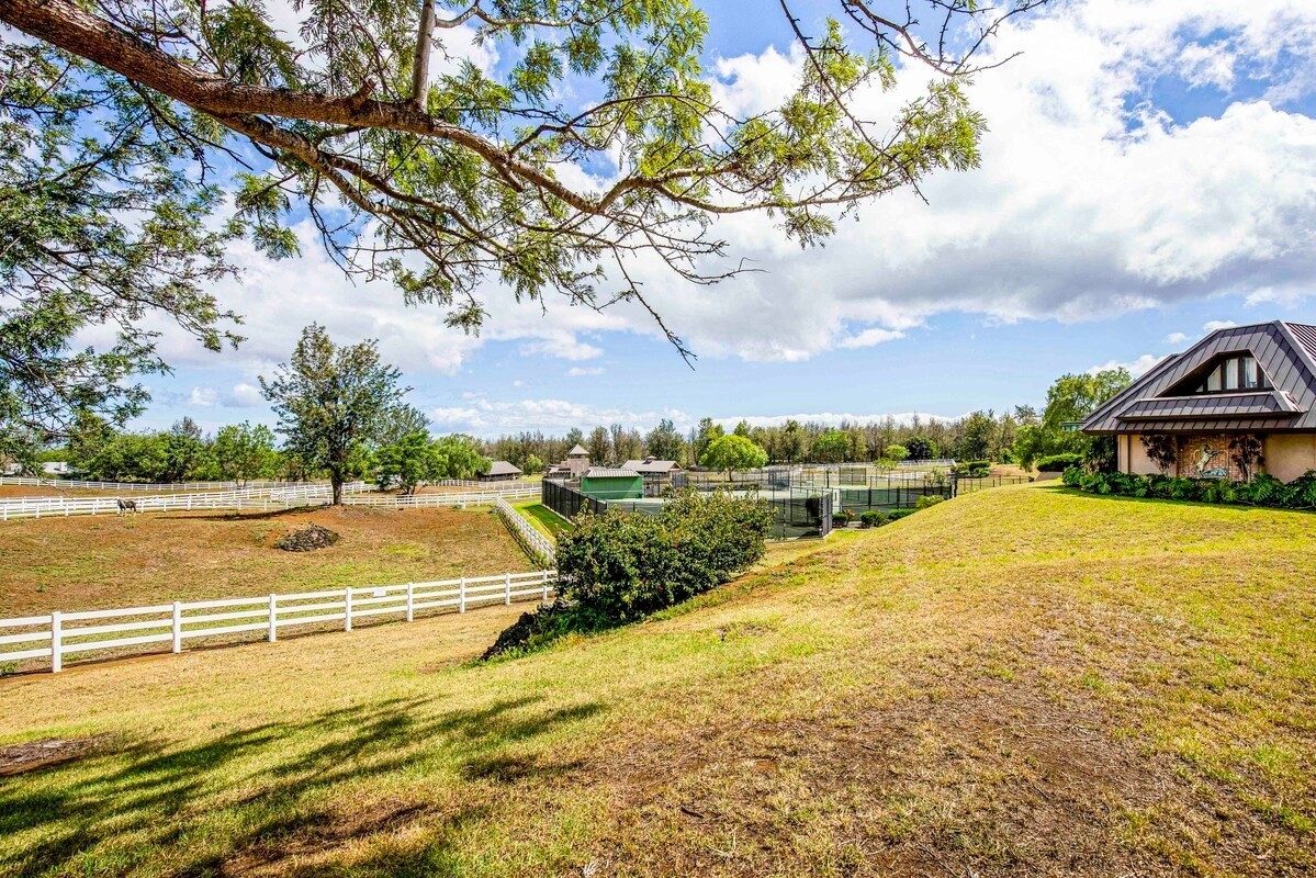 Big Island Listing Image