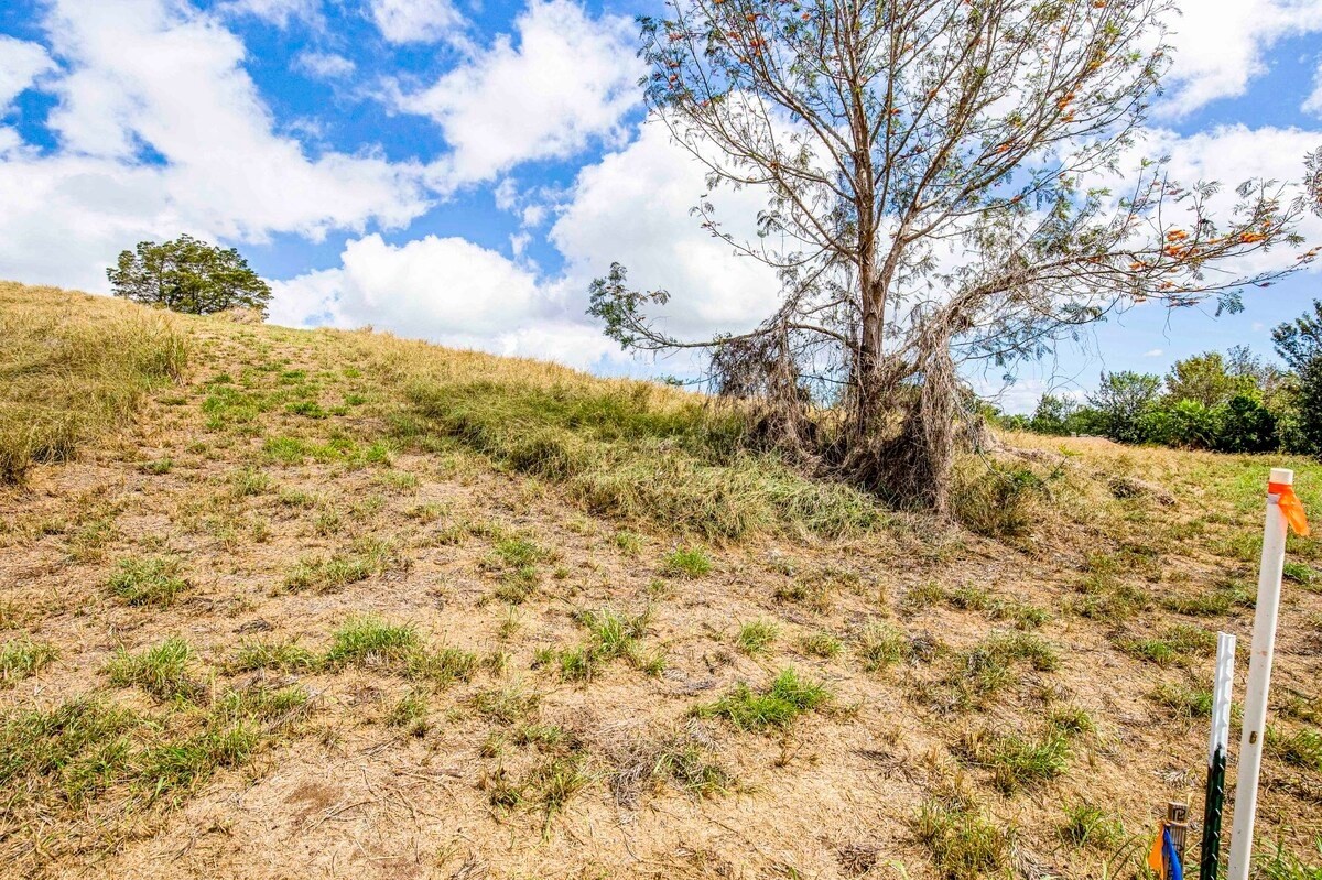 Big Island Listing Image