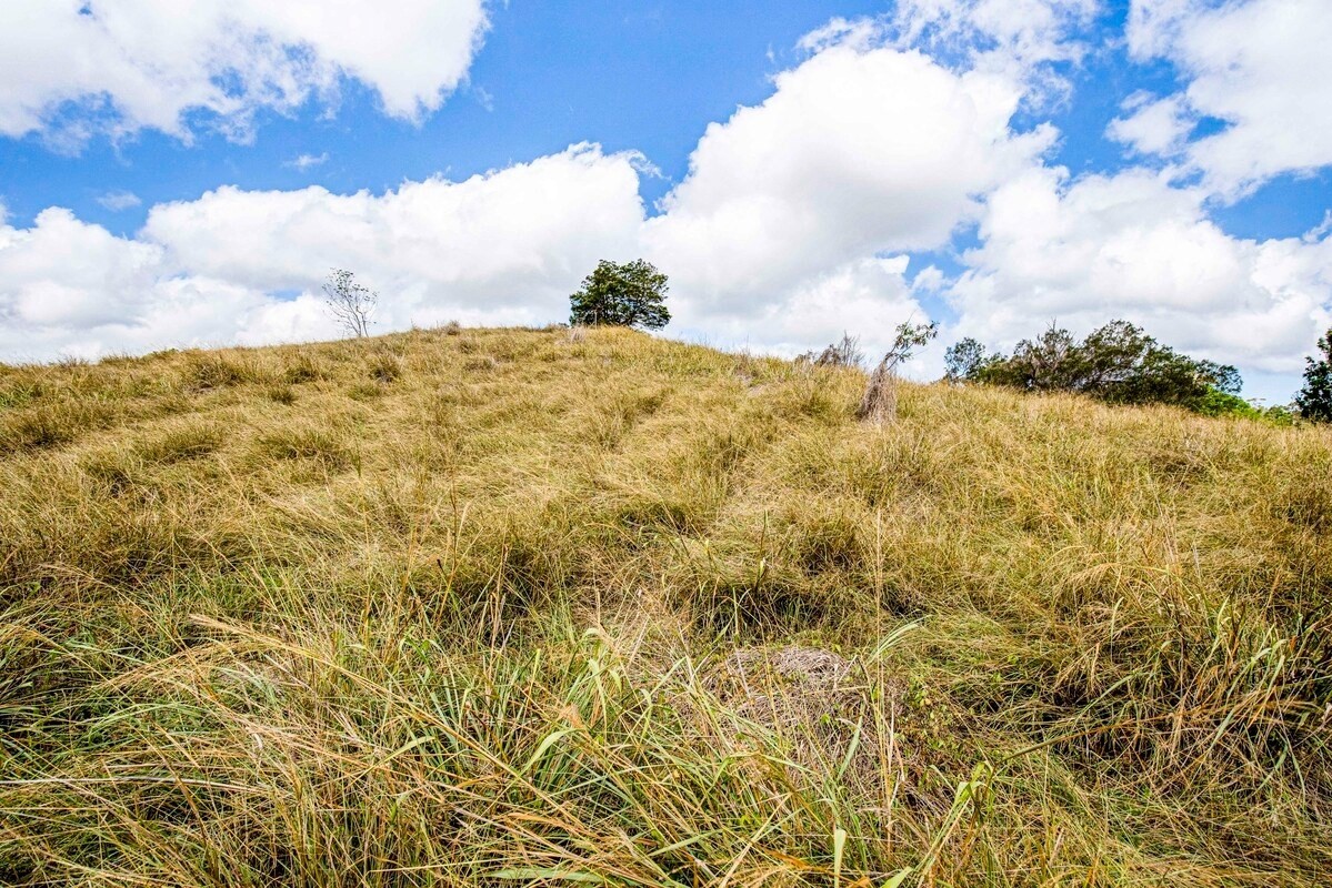 Big Island Listing Image