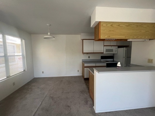 Big Island Listing Image