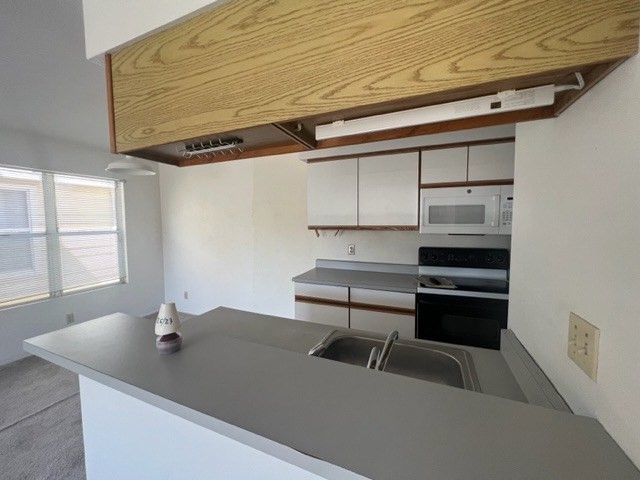 Big Island Listing Image