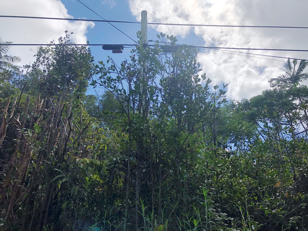 Big Island Listing Image