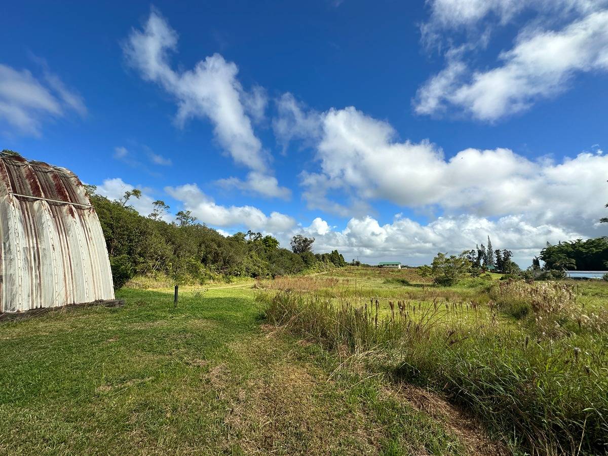 18-4365 PECK RD MOUNTAIN VIEW HI 96785