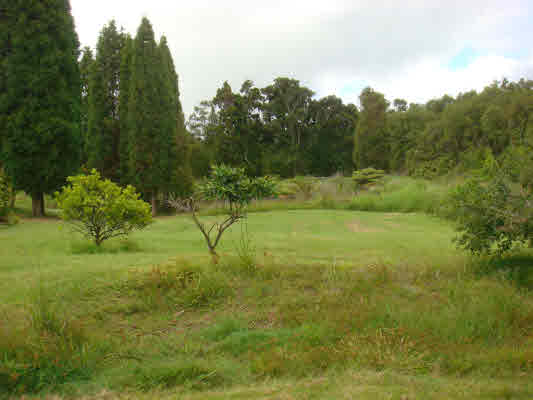 184069 GLENWOOD RD, MOUNTAIN VIEW, HI, 96771, USA