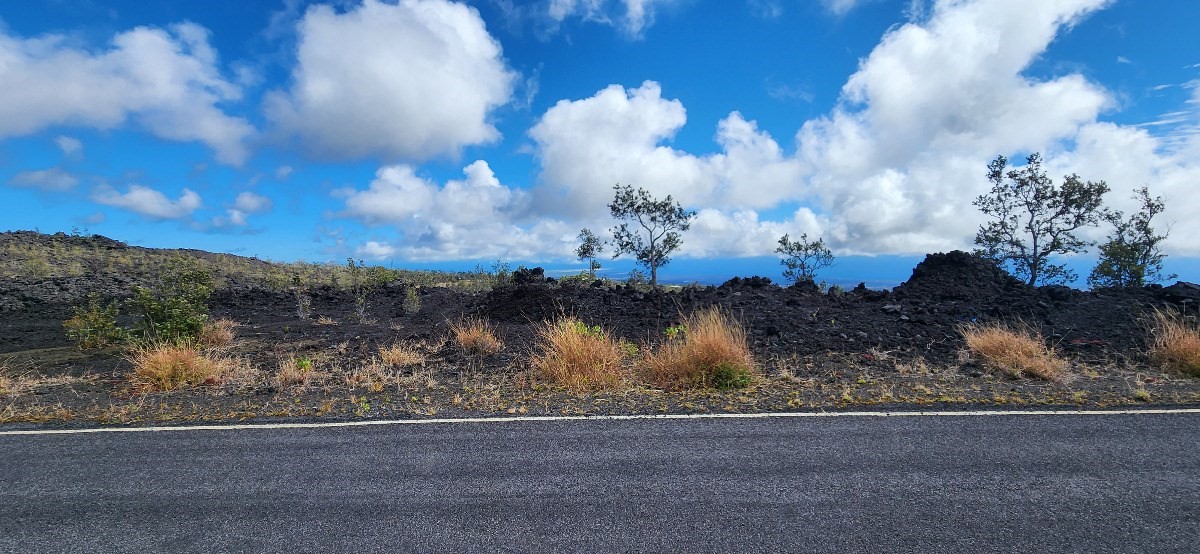 Big Island Listing Image