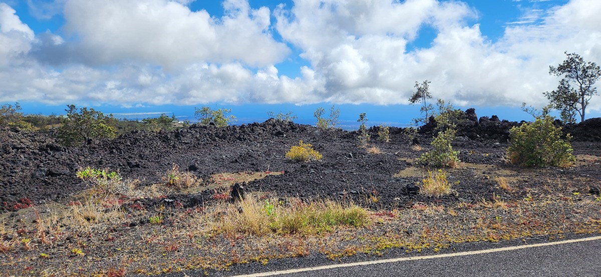 Big Island Listing Image