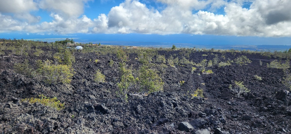 Big Island Listing Image