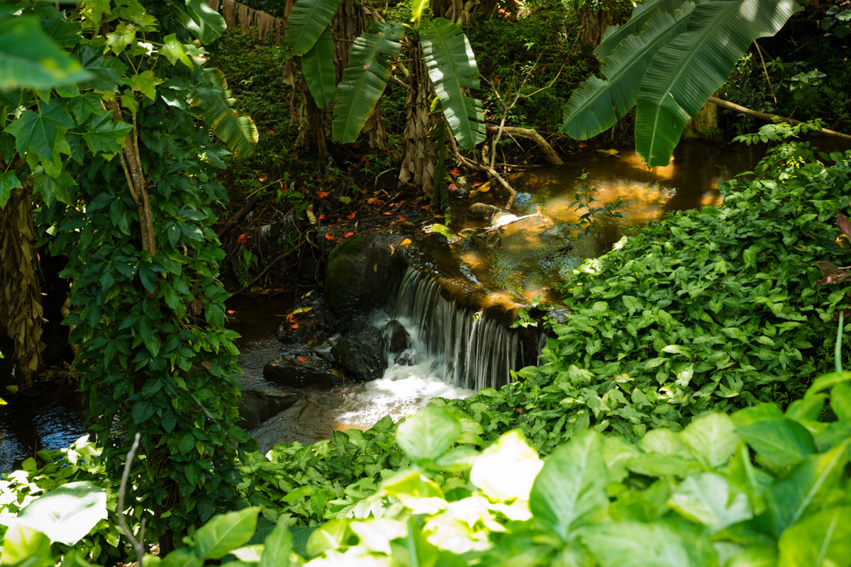 Big Island Listing Image