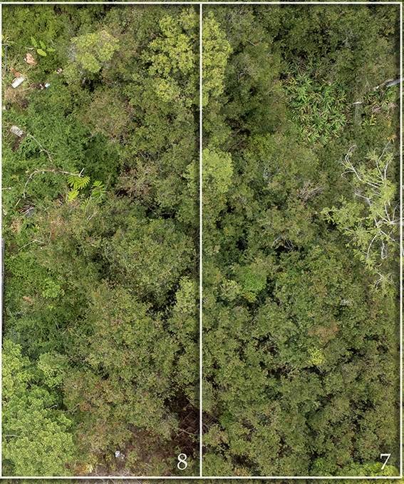 KAUAI ST MOUNTAIN VIEW HI 96771