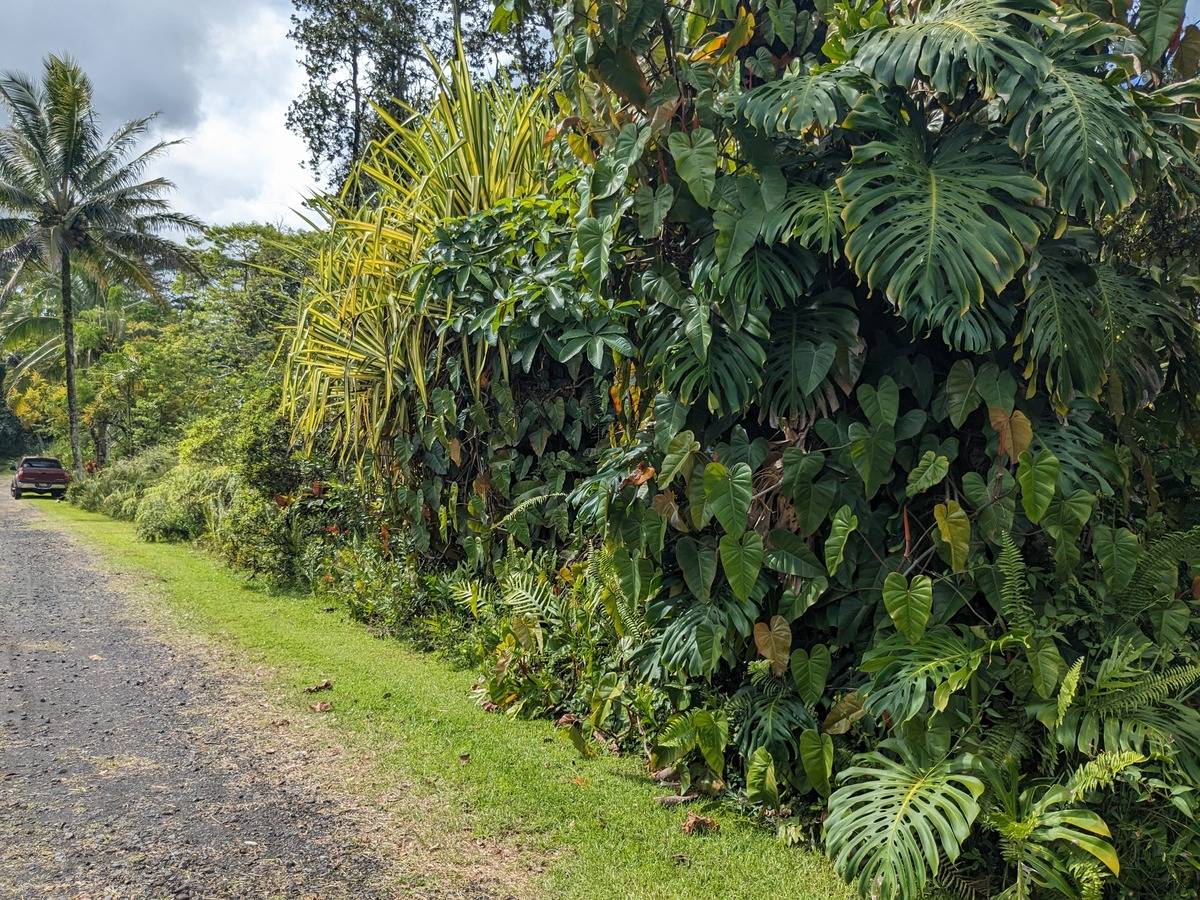 PIKAKE RD PAHOA HI 96778