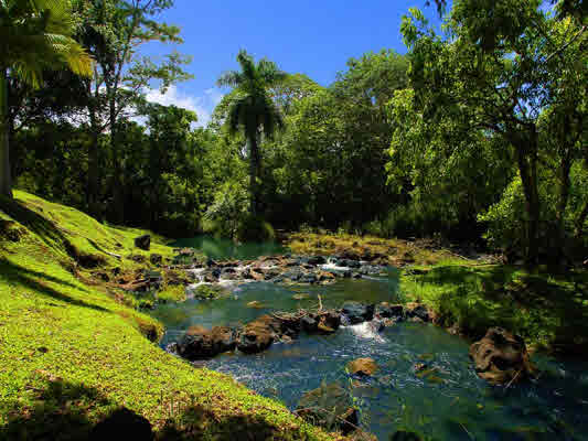 52151 KUHIO HWY., KILAUEA, HI, 96754, USA