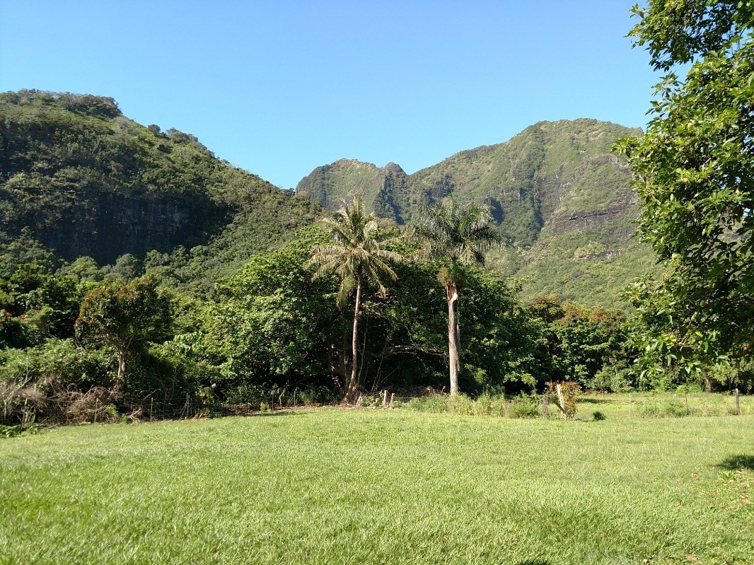 Kauai Listing Image