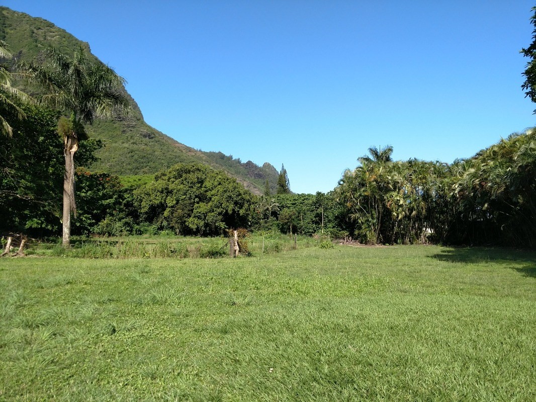 Kauai Listing Image