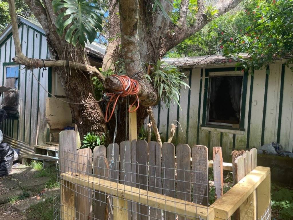 Big Island Listing Image