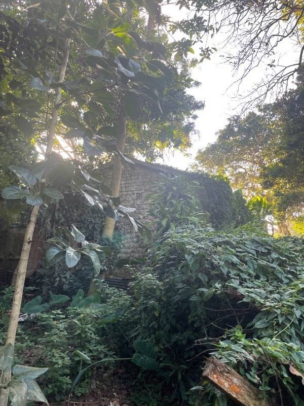 Big Island Listing Image