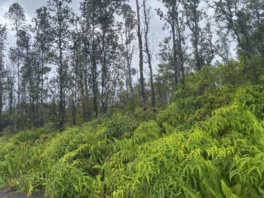 Big Island Listing Image