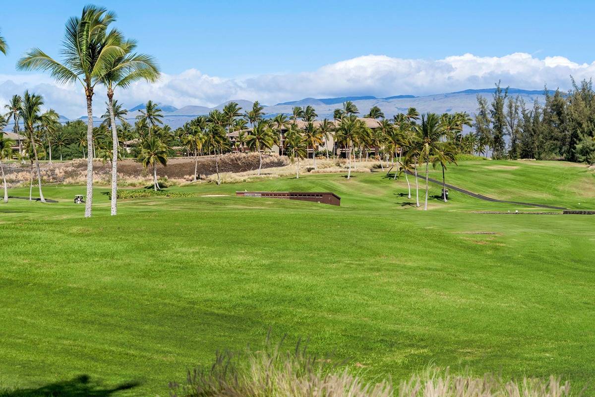 Big Island Listing Image