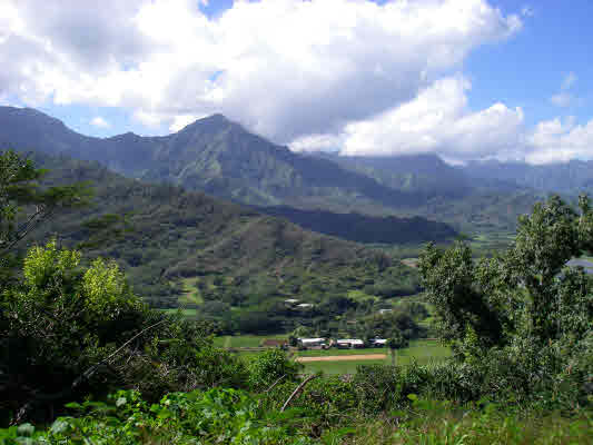 4590 KAPA'KA ST, PRINCEVILLE, HI, 96722, USA
