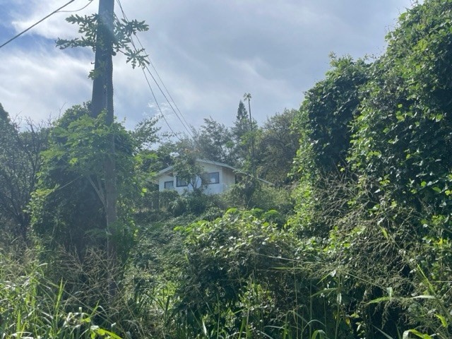 Big Island Listing Image