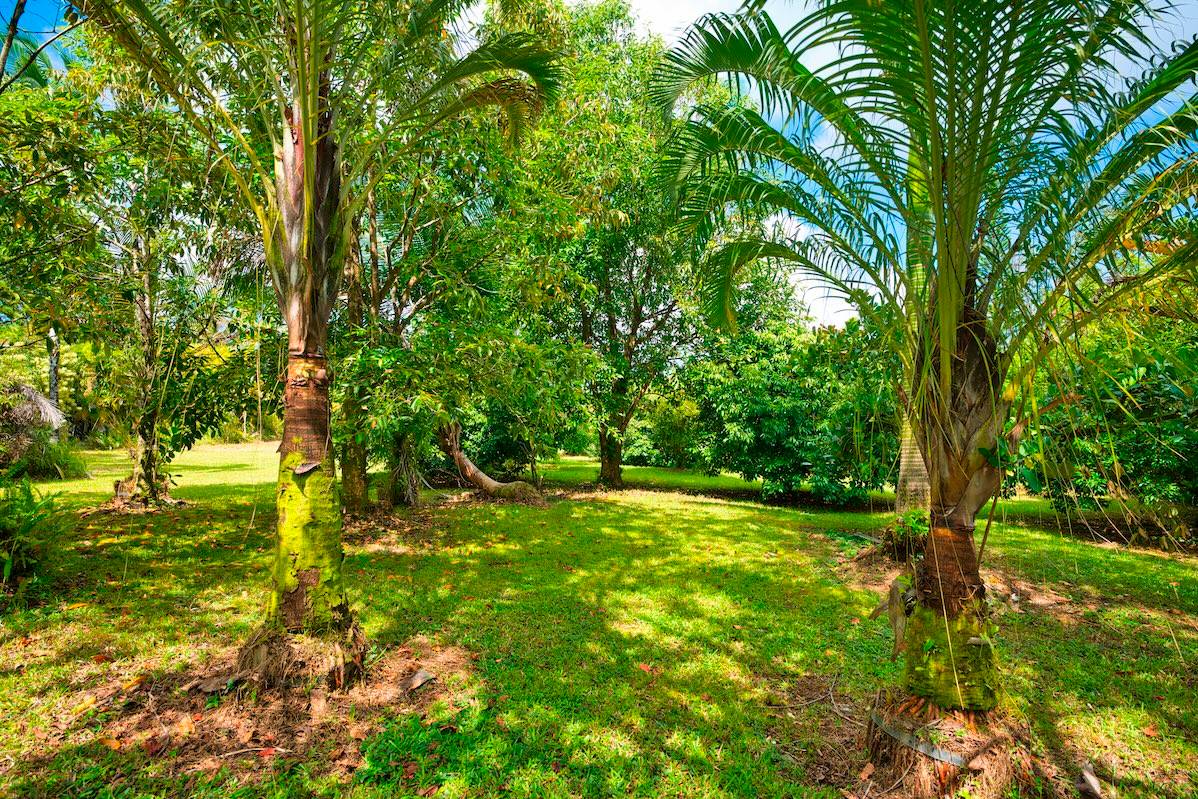 29TH AVE KEAAU HI 96749