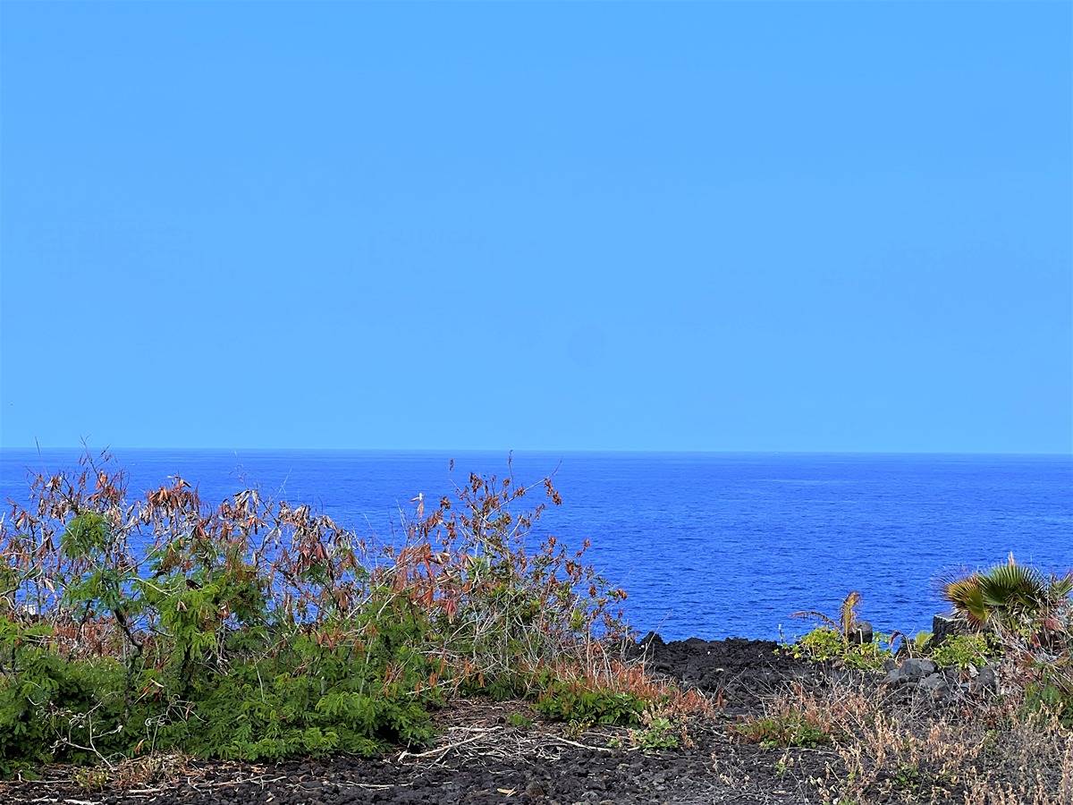 KAI AVE CAPTAIN COOK HI 96704