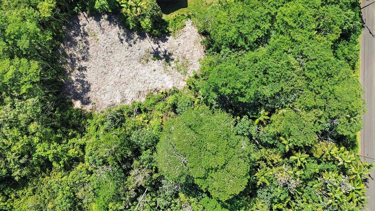 MAILE ST PAHOA HI 96778