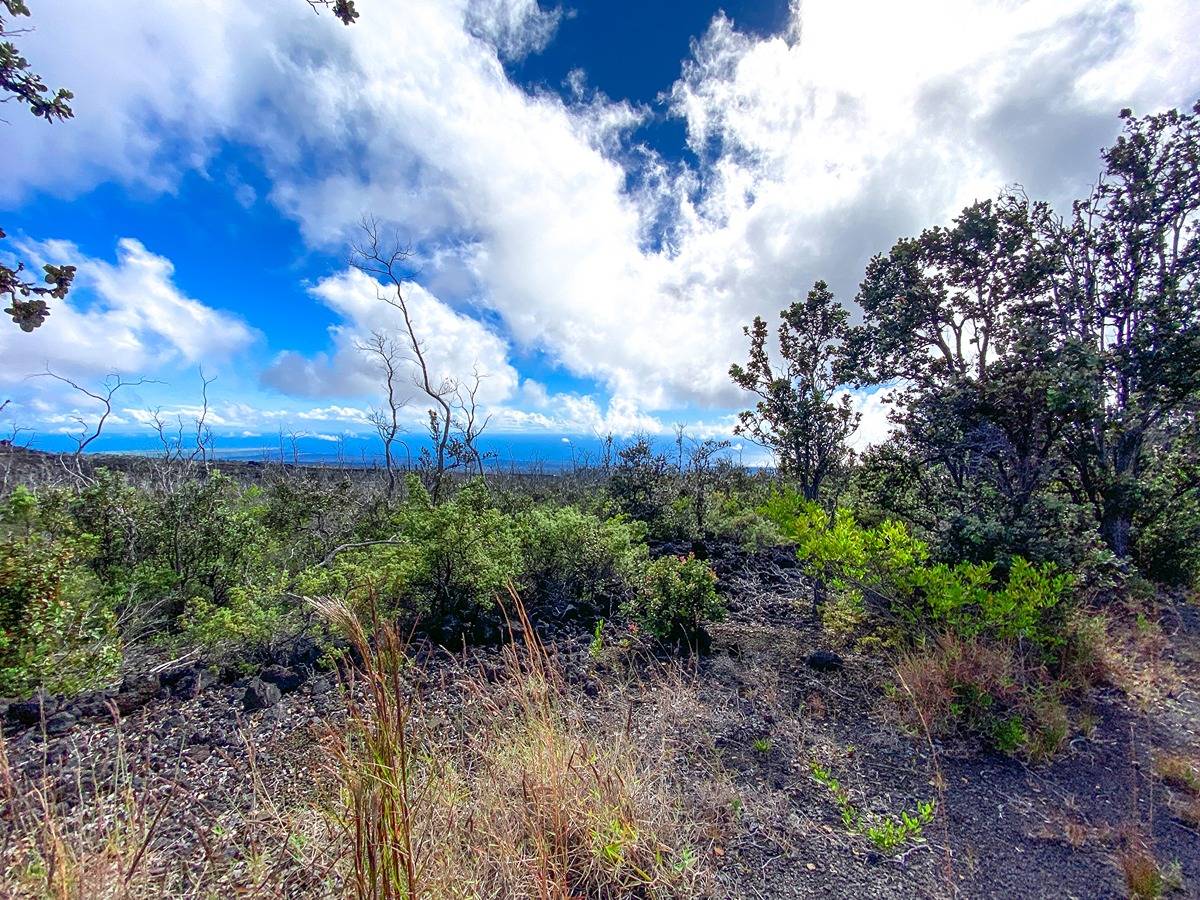 ISLAND BLVD OCEAN VIEW HI 96737