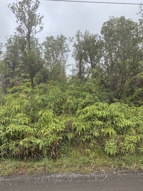 KOKOKAHI RD VOLCANO HI 96785