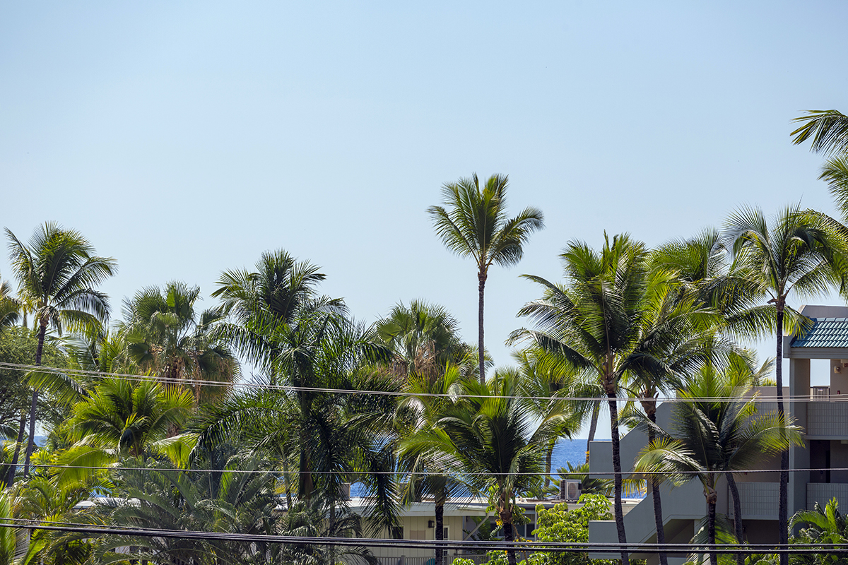 Big Island Listing Image