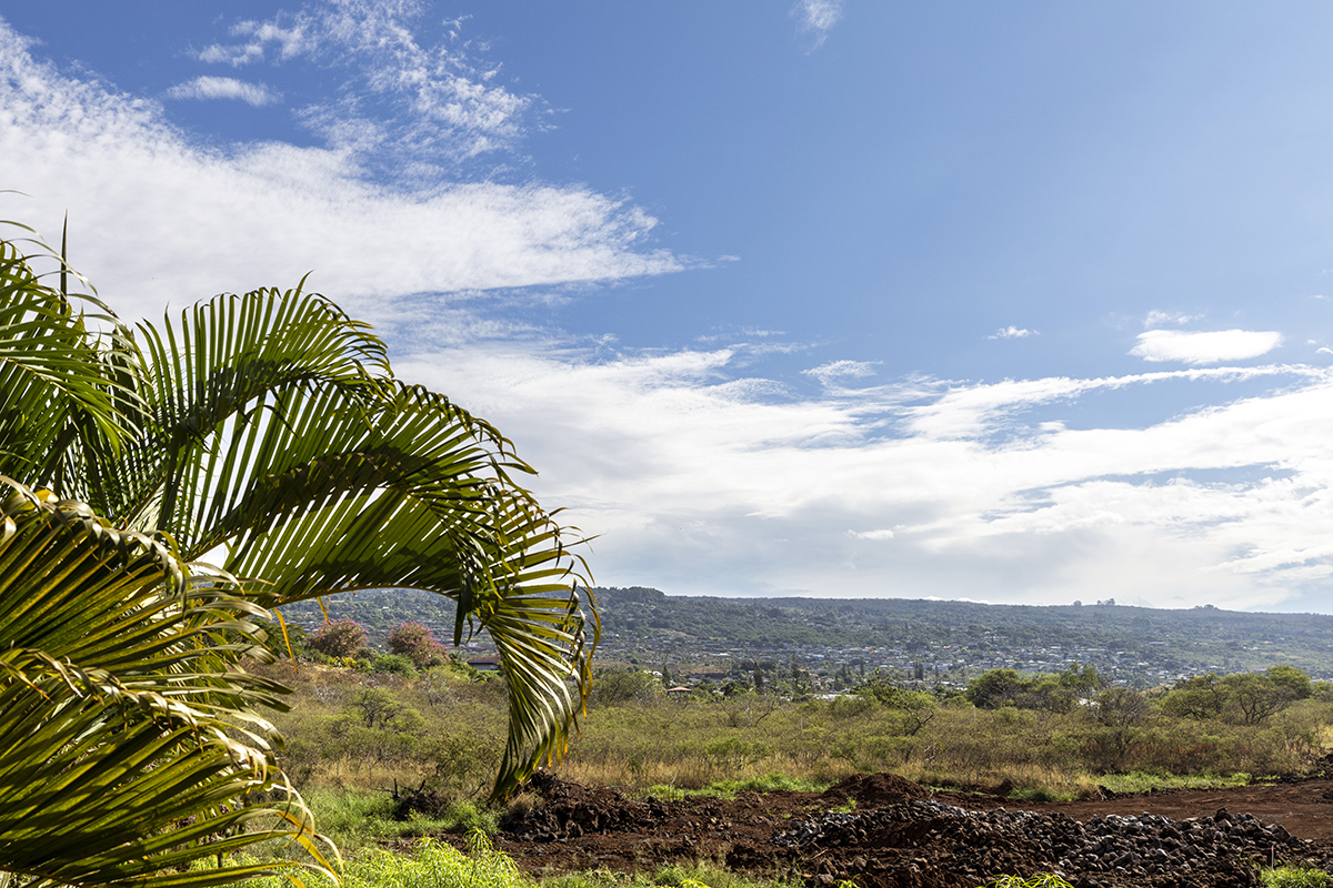 Big Island Listing Image