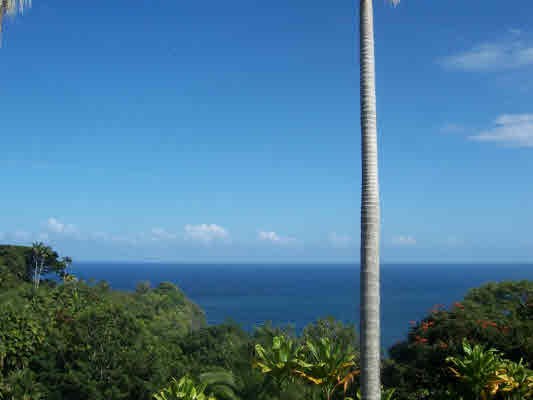 Kahalii, Pepeekeo, HI 96783
