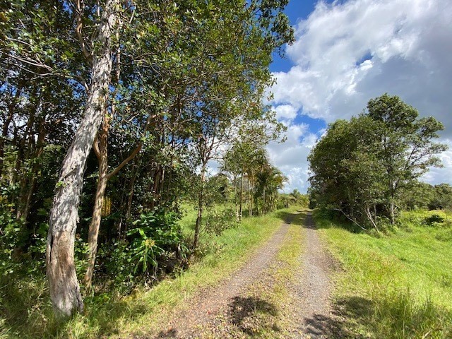 Big Island Listing Image