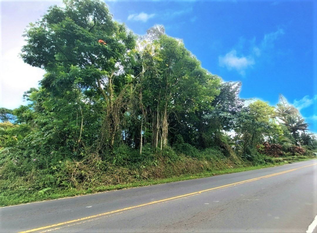 Big Island Listing Image