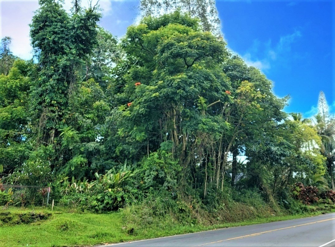 Big Island Listing Image