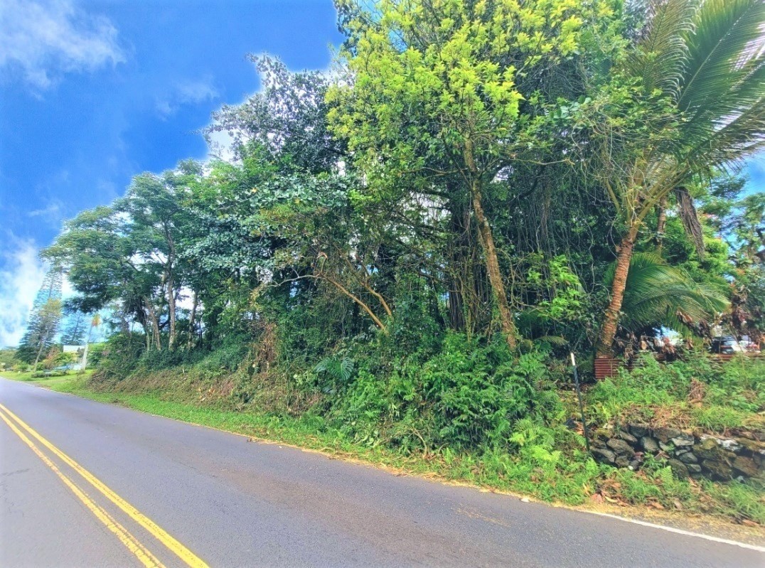 Big Island Listing Image