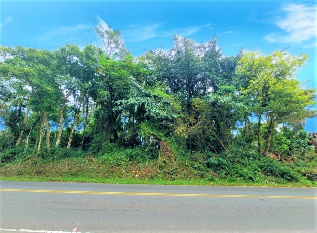 Big Island Listing Image