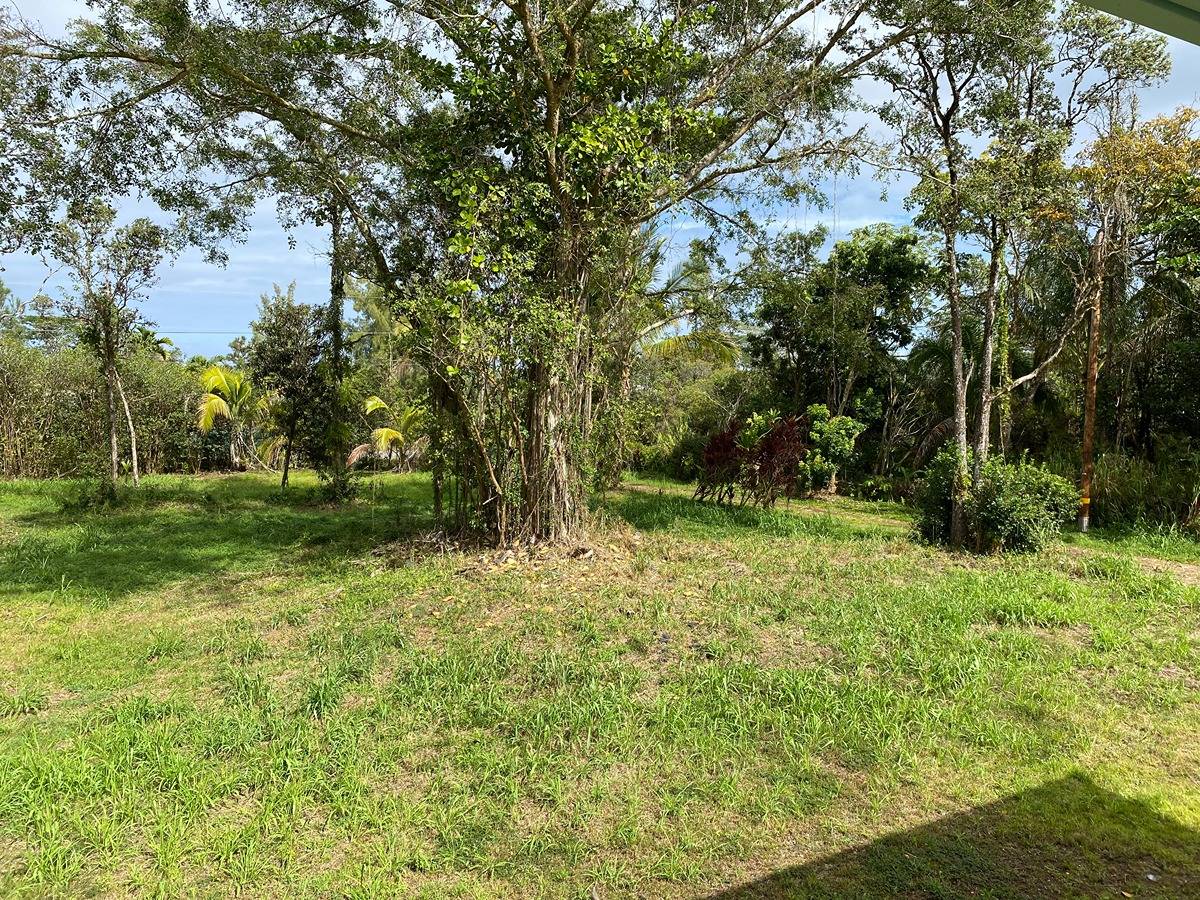 Big Island Listing Image