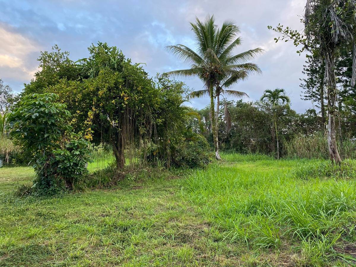 Big Island Listing Image