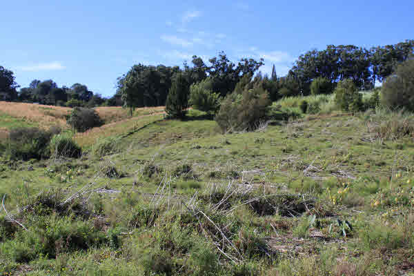 View towards mountain