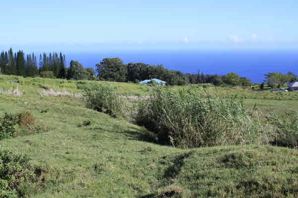 Fenced Acreage