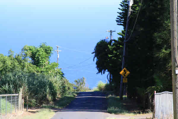 Heading down Kalopa Mauka Rd.