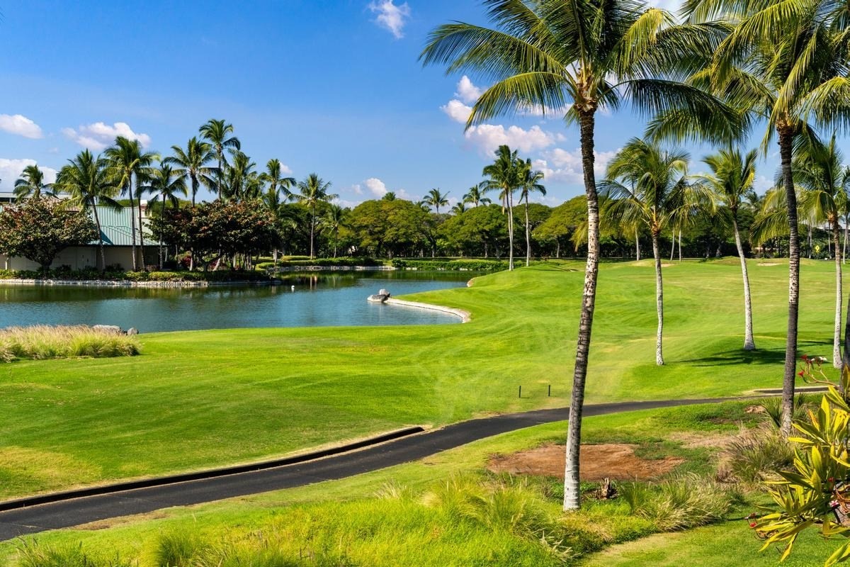 Big Island Listing Image