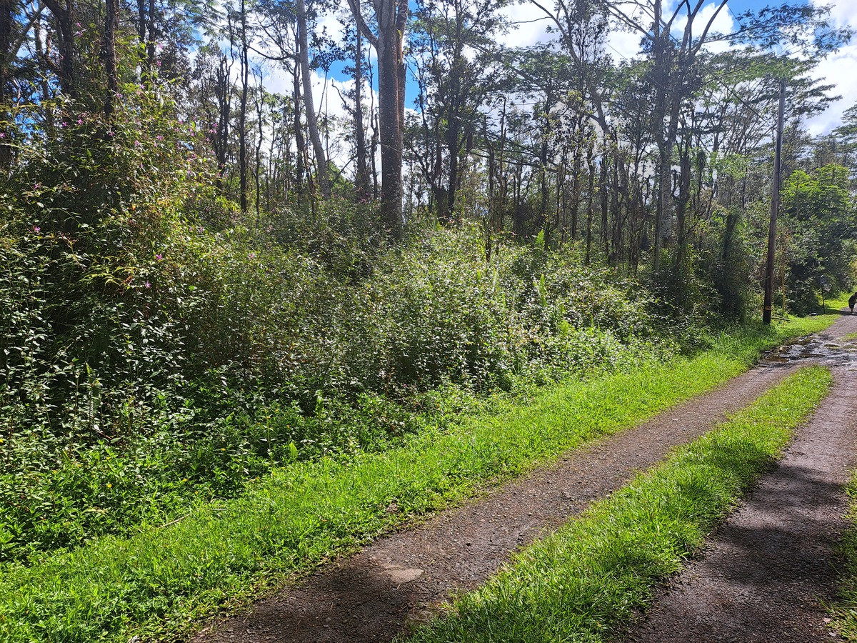 Big Island Listing Image