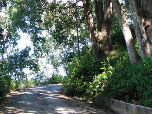 6230 HAUIKI RD, KAPAA, HI, 96746, USA