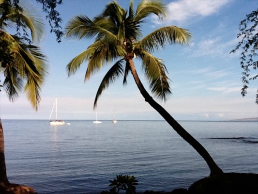 69-1560 PUAKO BEACH DR, Kamuela, HI 96743