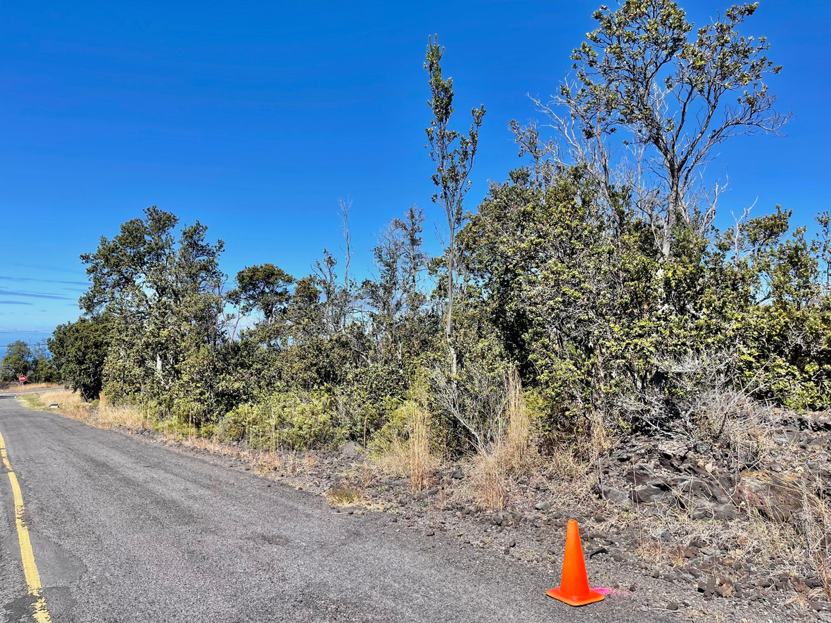 Big Island Listing Image