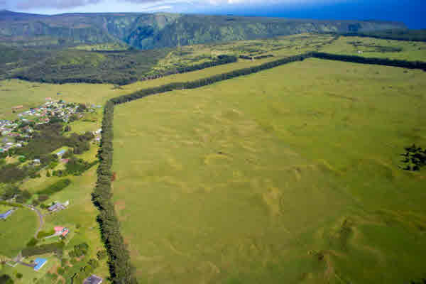 Mud Lane, Honokaa, HI 96727