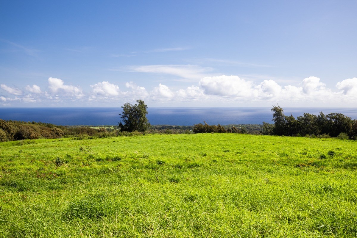 Big Island Listing Image