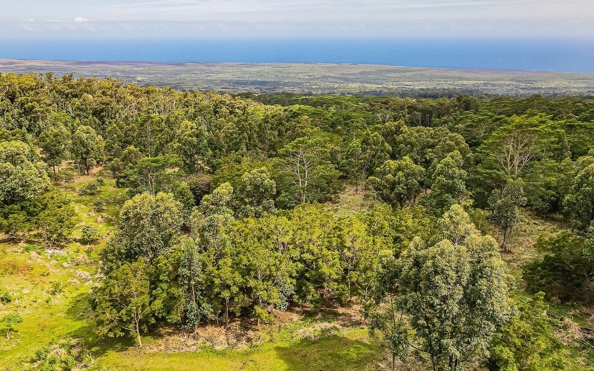 Big Island Listing Image