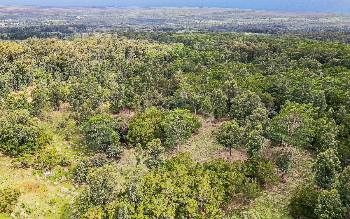 Big Island Listing Image